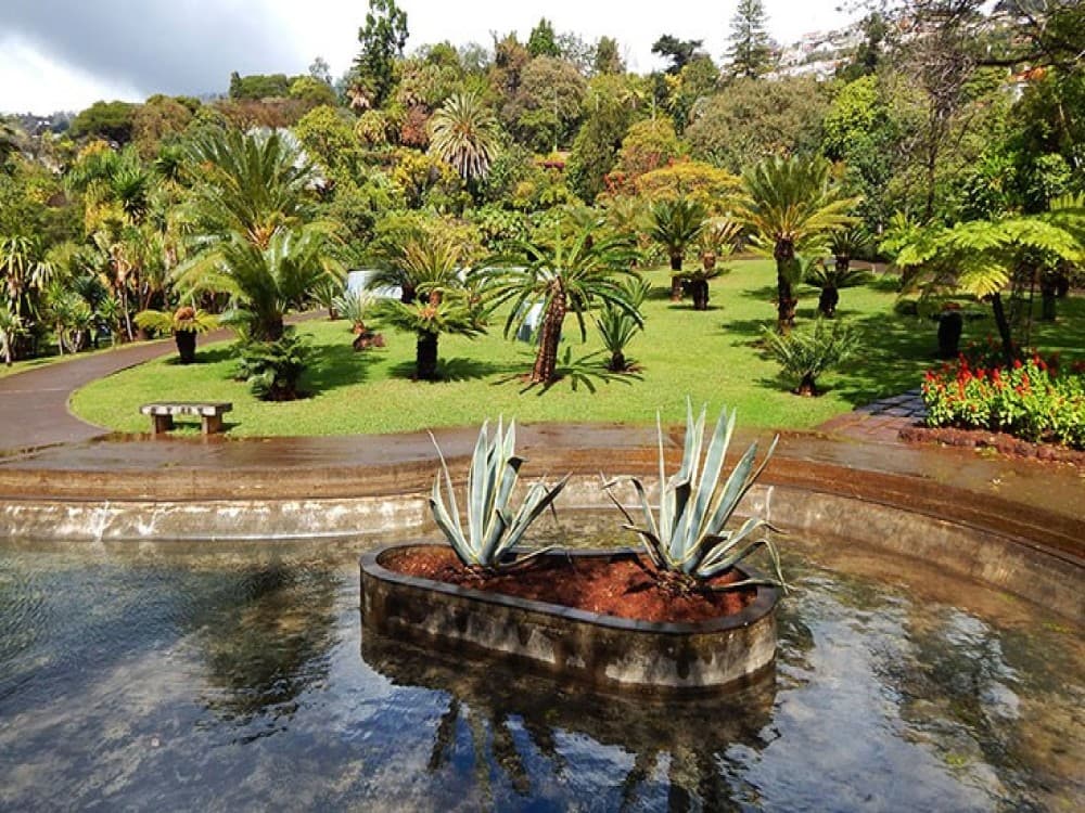 Madeira Botanical Garden