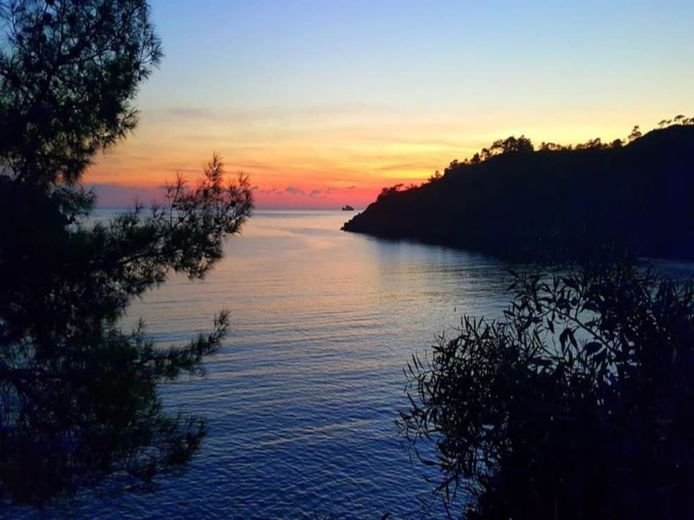 Katrancı Bay Nature Park