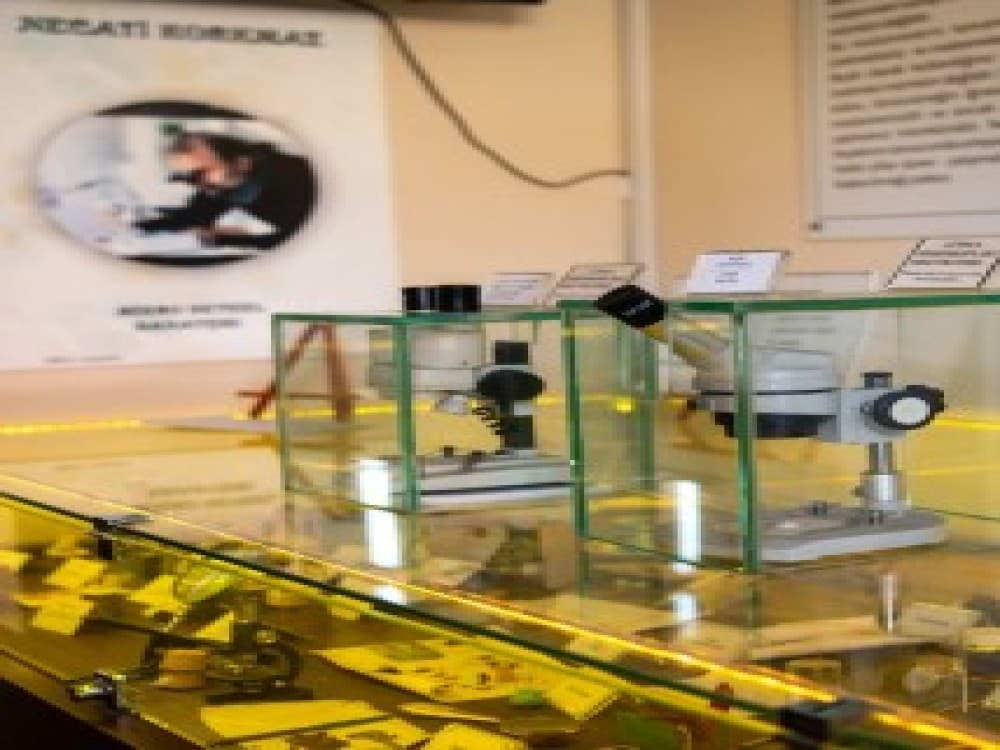 Micro Miniature Museum