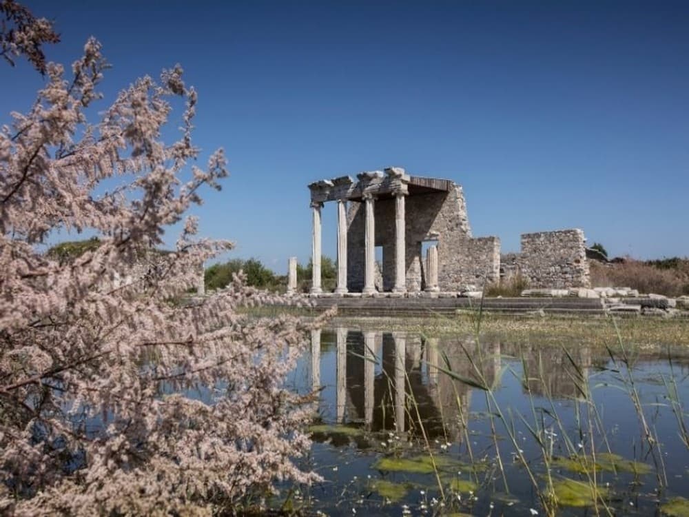 Didim: Ancient City of Miletus | ®ExcursionMania