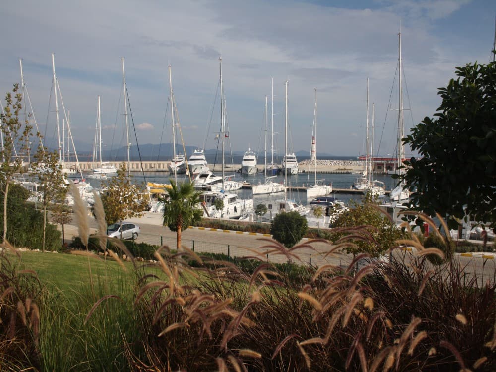 Didim Marina