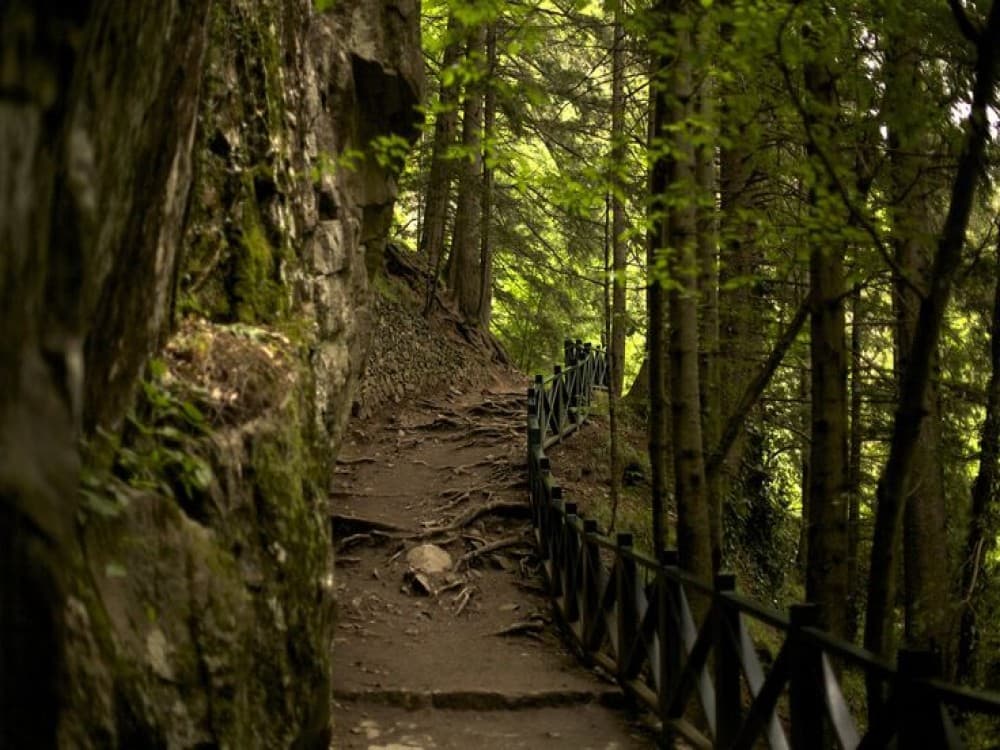 Altindere Valley National Park
