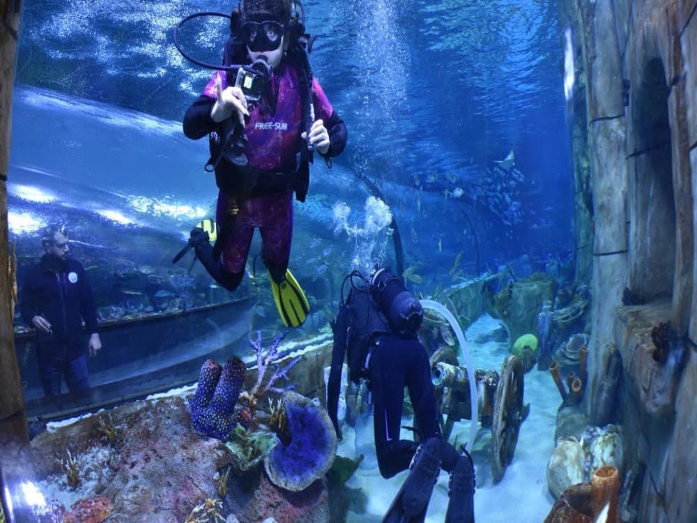 Trabzon Aquarium