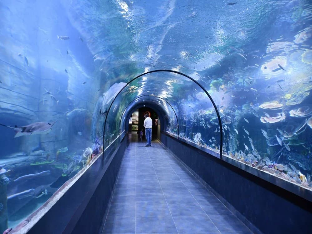 Trabzon Aquarium