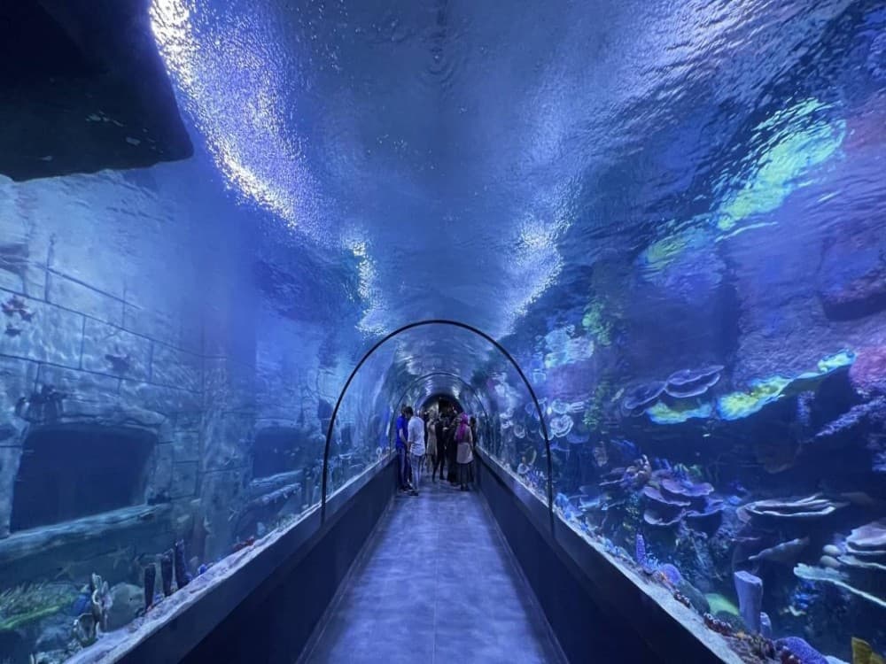 Trabzon: Trabzon Aquarium | ®ExcursionMania