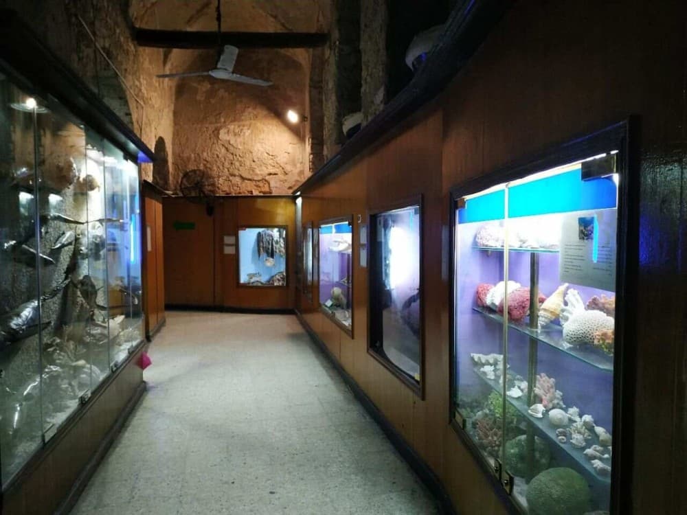 Aquarium Museum