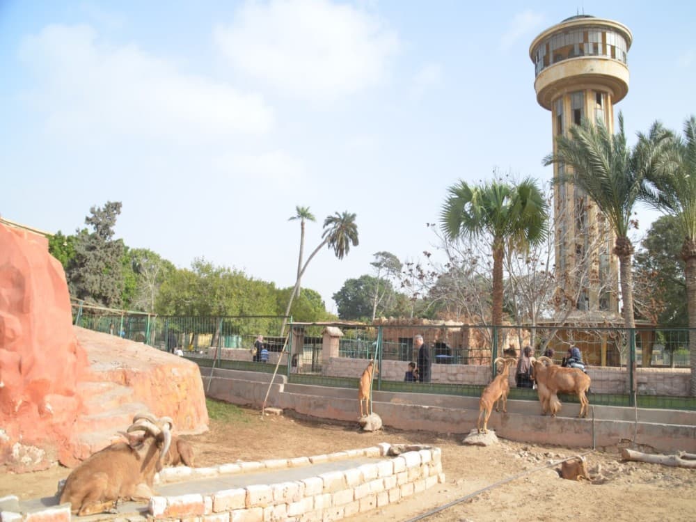 Alexandria Zoo