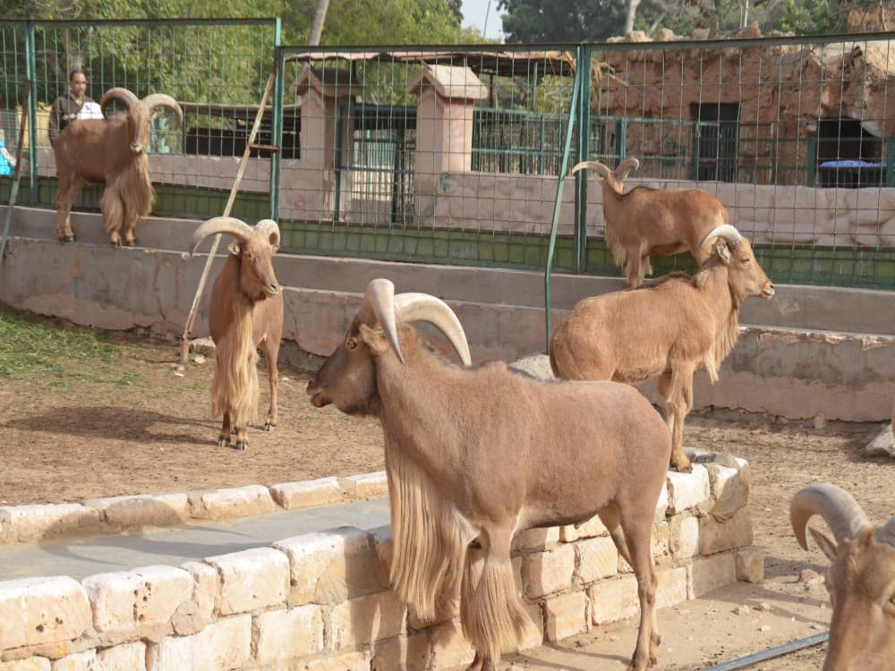 Alexandria Zoo