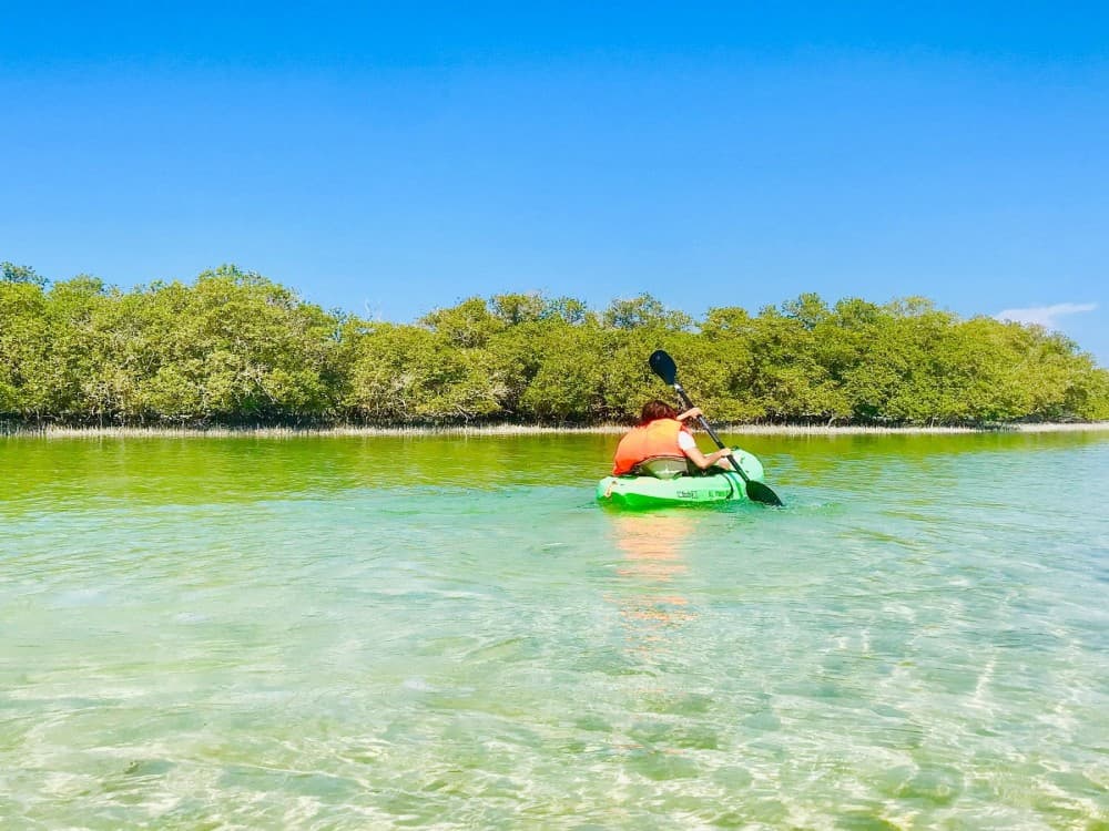 El Qulan Mangrove Forest