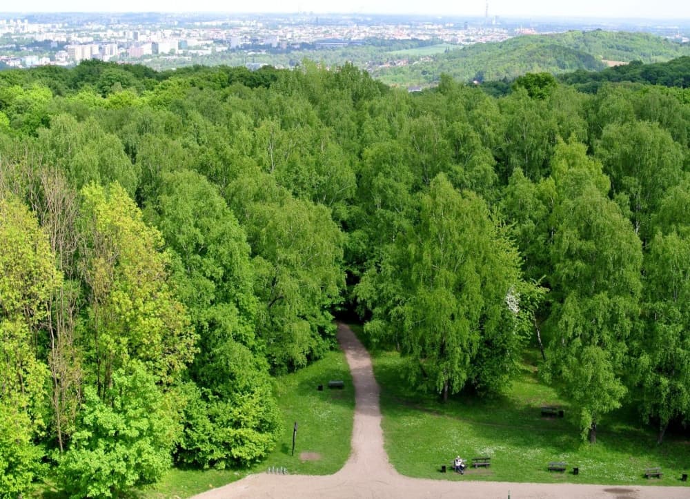 Krakow: Wolski Forest | ®ExcursionMania