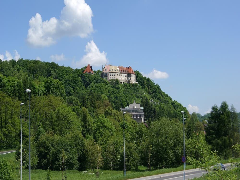 Przegorzaly Castle