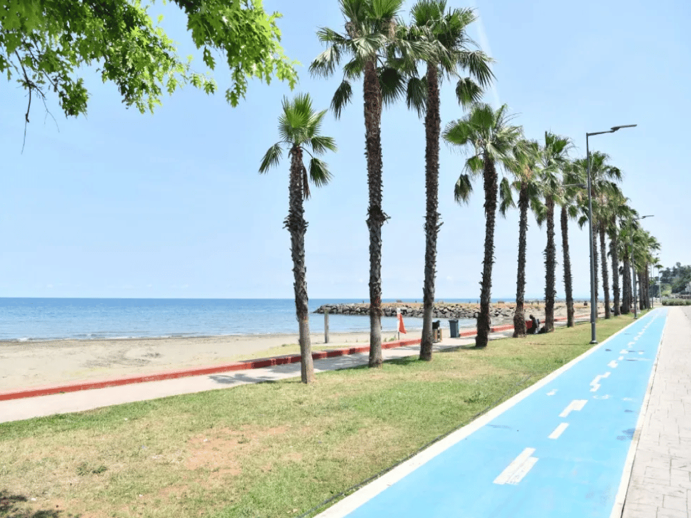 Does Trabzon Have a Beach?