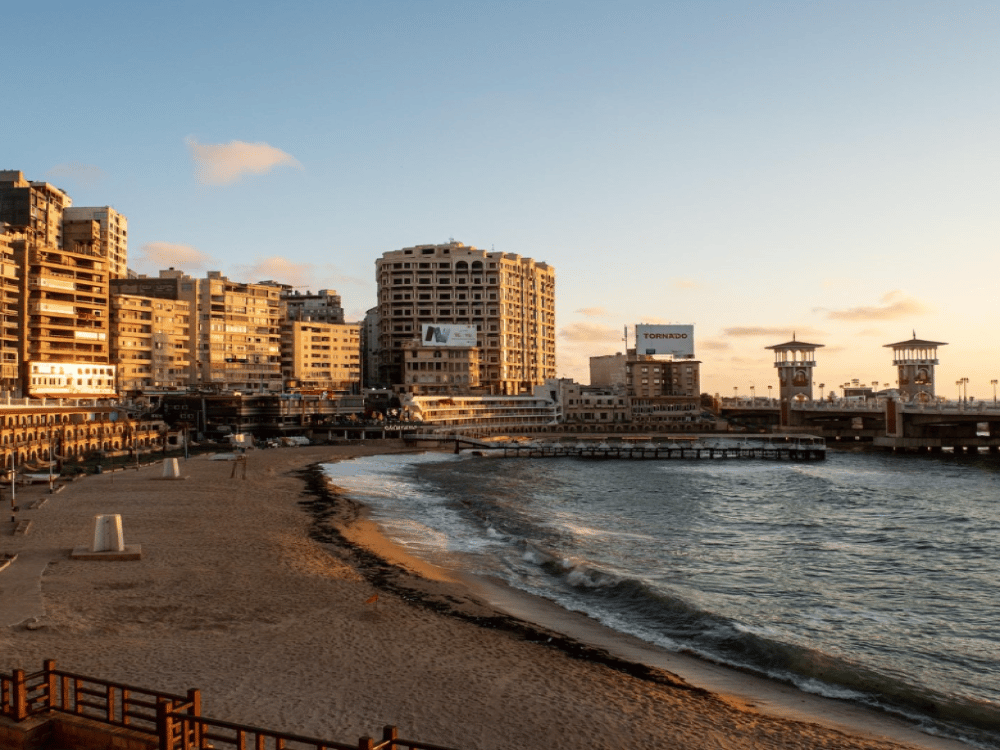 What Kind of Activities Can You Do in Alexandria?