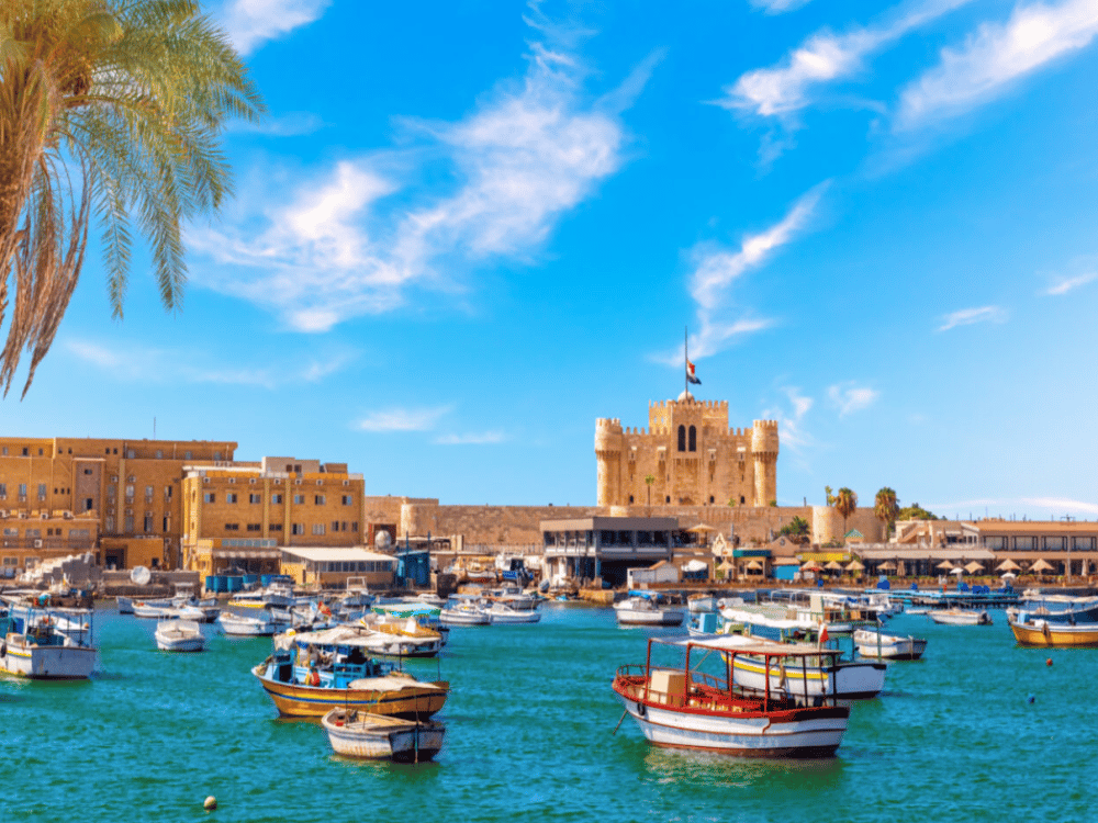 What Kind of Activities Can You Do in Alexandria?