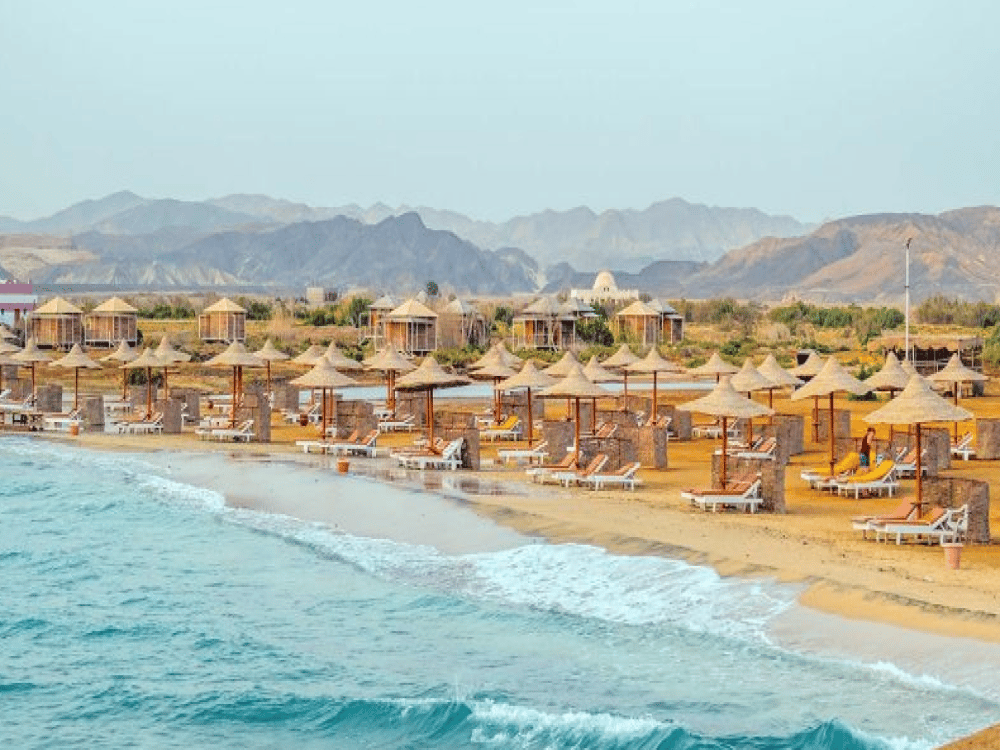 Is There Anything to Do in Marsa Alam?
