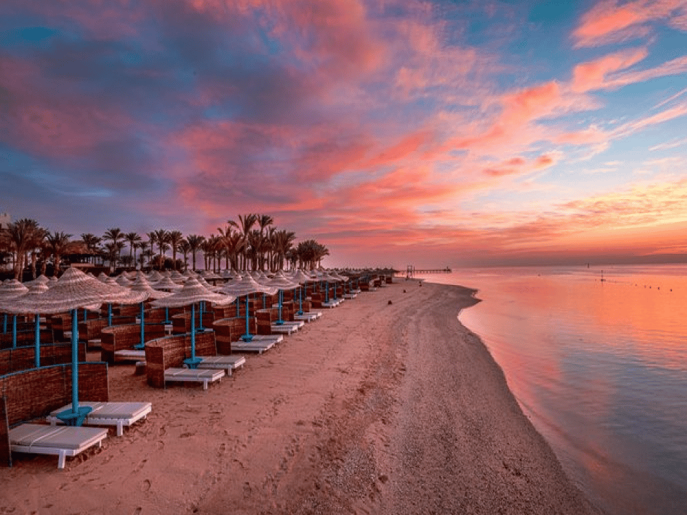 Is There Anything to Do in Marsa Alam?