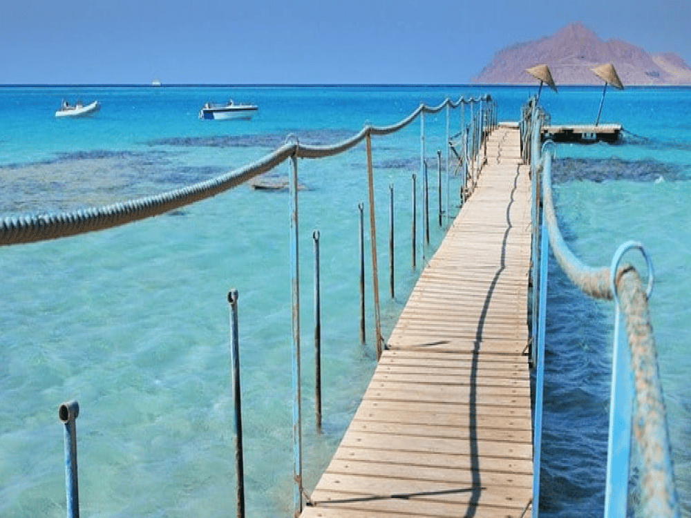 Is There Anything to Do in Marsa Alam?
