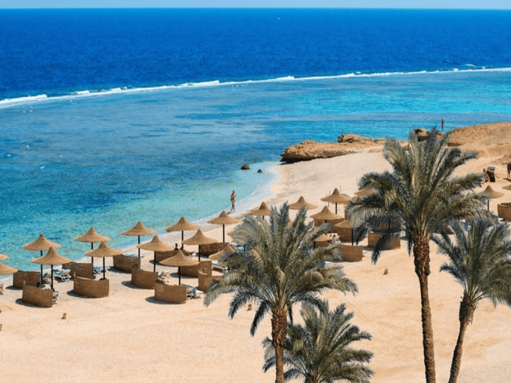 Is It Worth Visiting Marsa Alam?