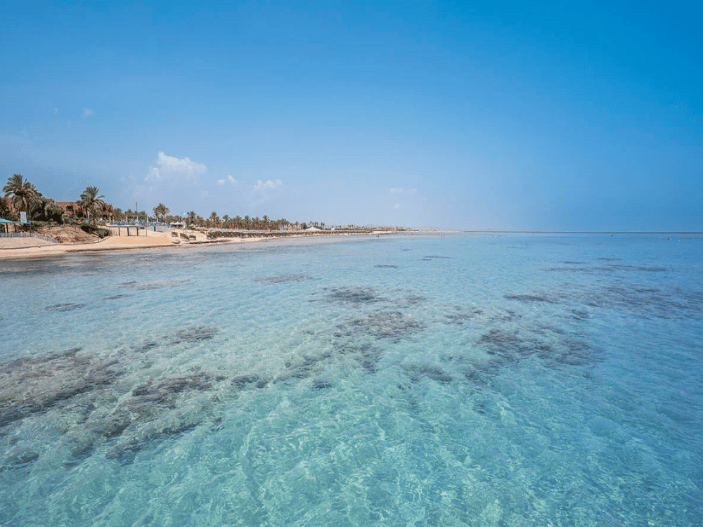 Is It Worth Visiting Marsa Alam?