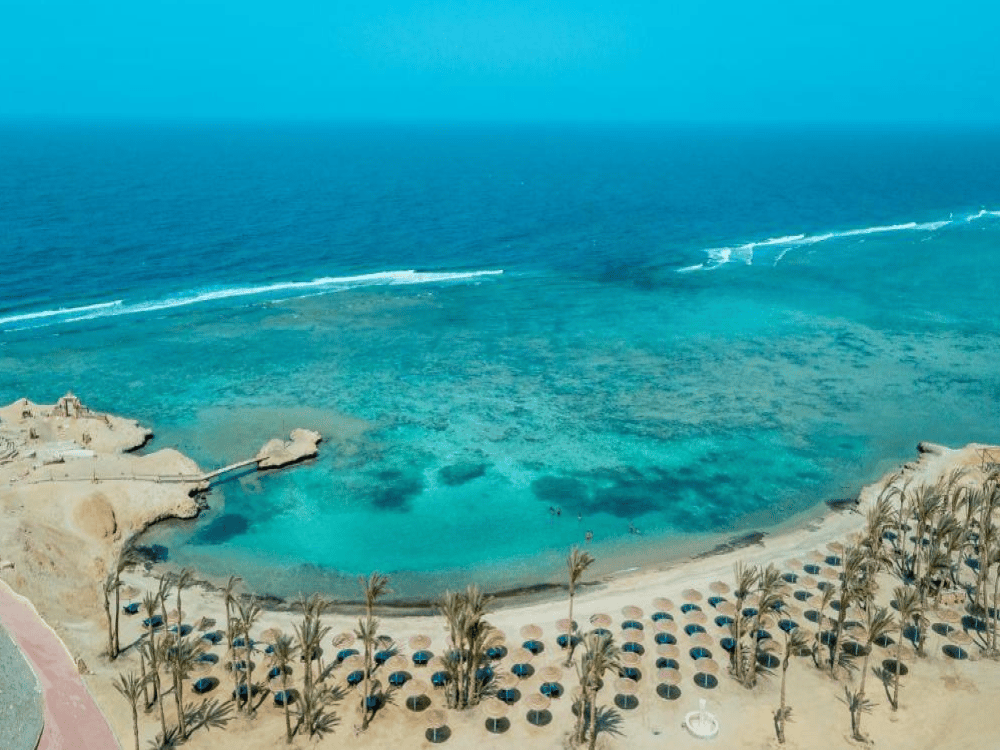 Where to See Dolphins in Marsa Alam?