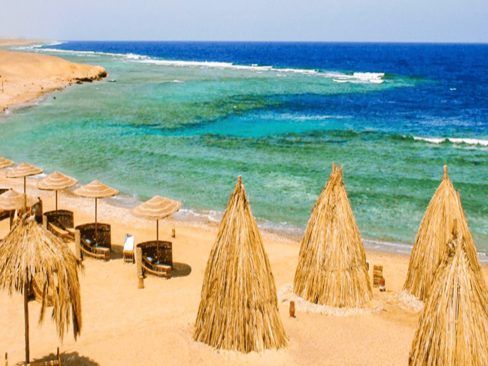 Where to See Dolphins in Marsa Alam?