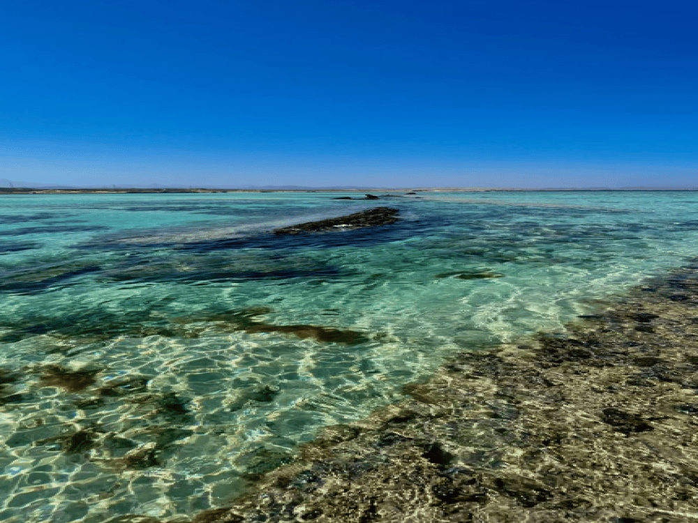 What Is the Best Time to Visit Marsa Alam?