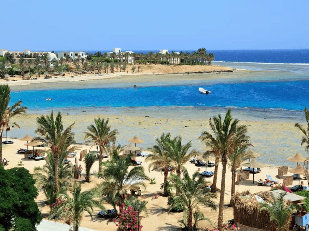 What Is the Best Time to Visit Marsa Alam?