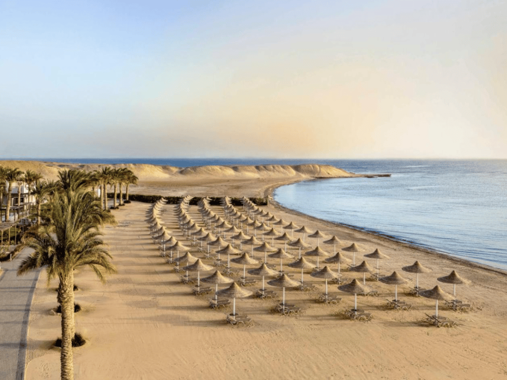 What Is the Best Time to Visit Marsa Alam?