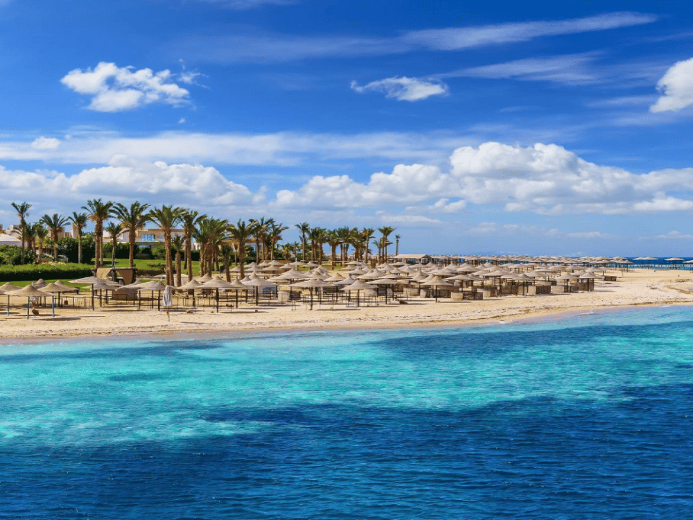 What Is the Best Time to Visit Marsa Alam?