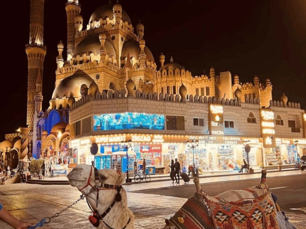 Which Part of Sharm El Sheikh is Best?