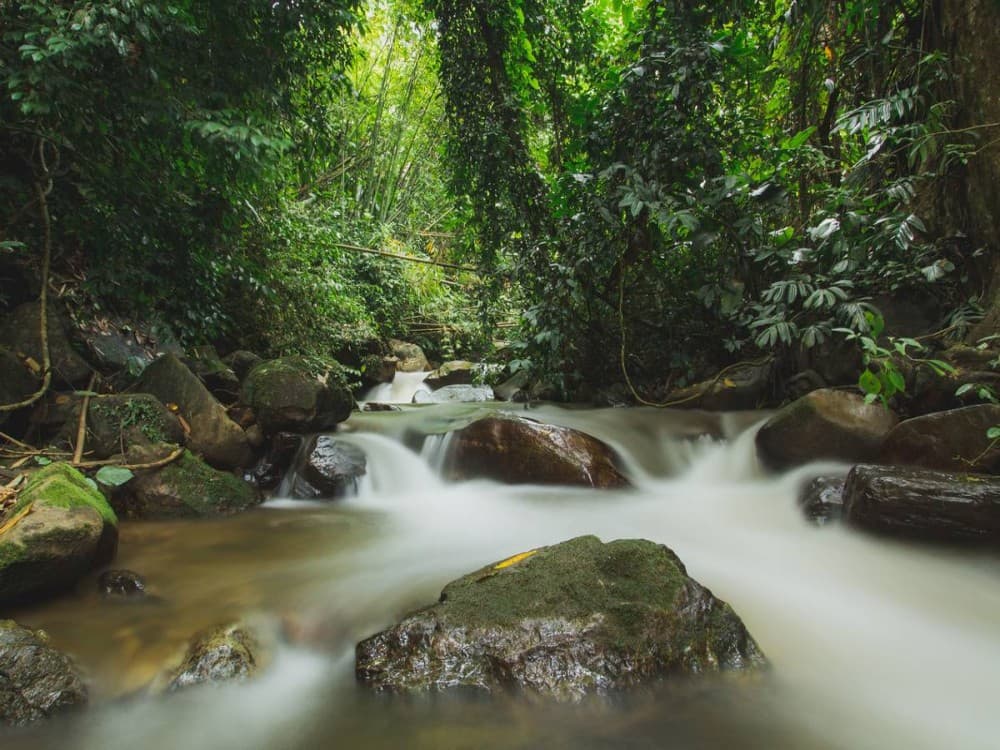 How many days do you need in Chiang Rai?