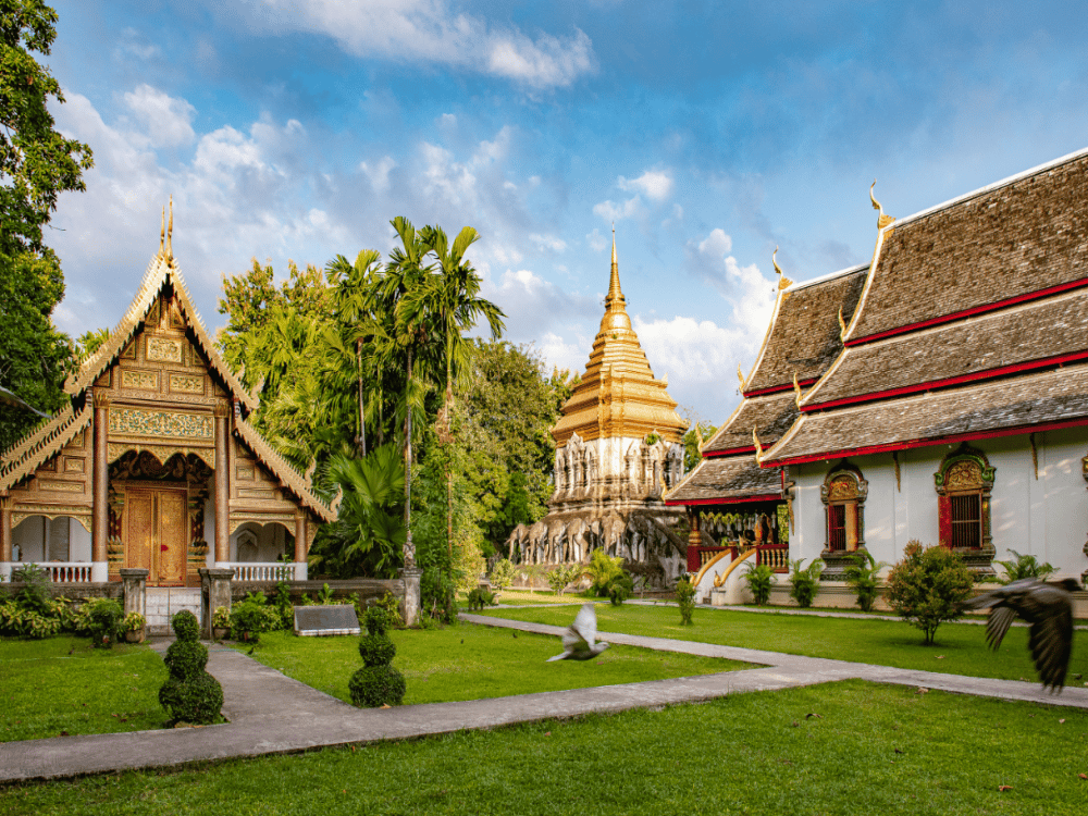 What Not to Miss in Chiang Mai?