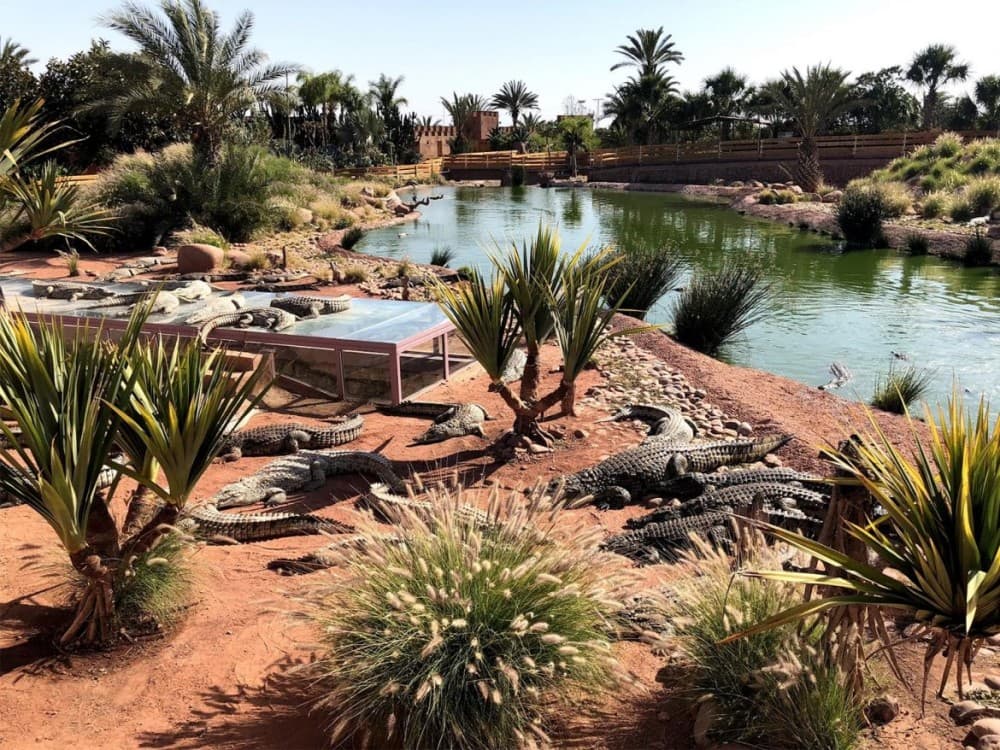 What is the best month for Agadir?