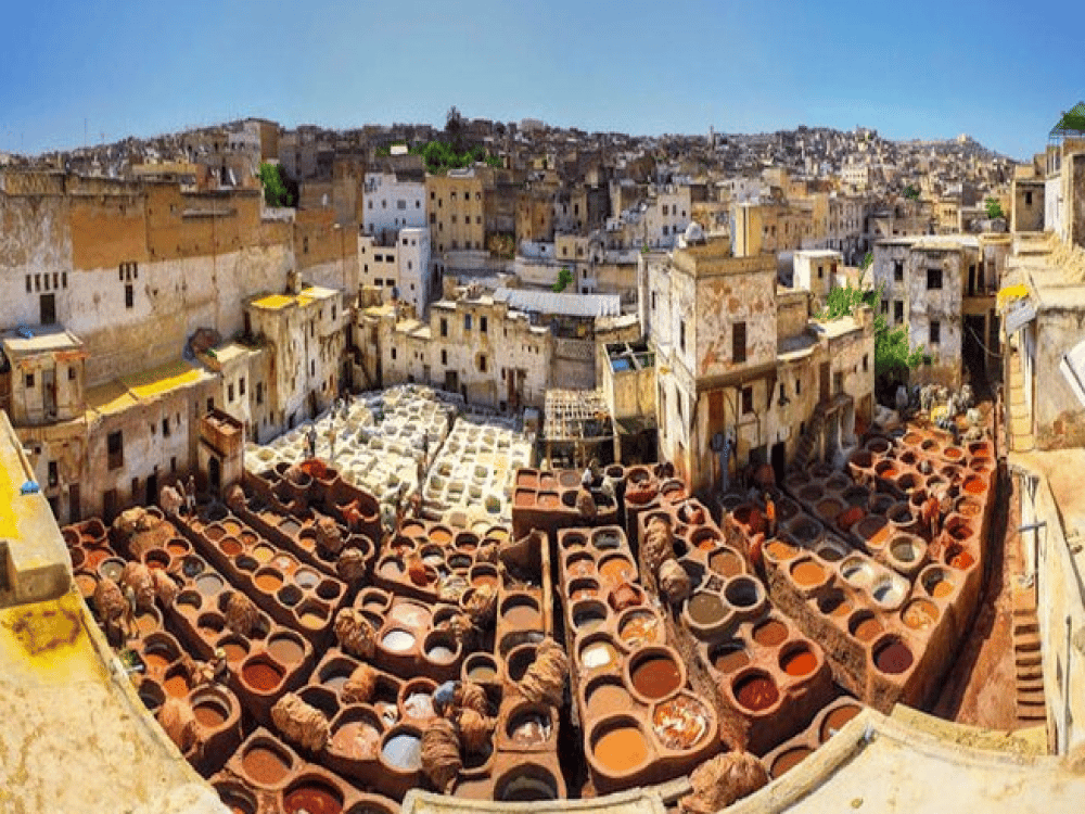 What to Do in Fez for a Day?