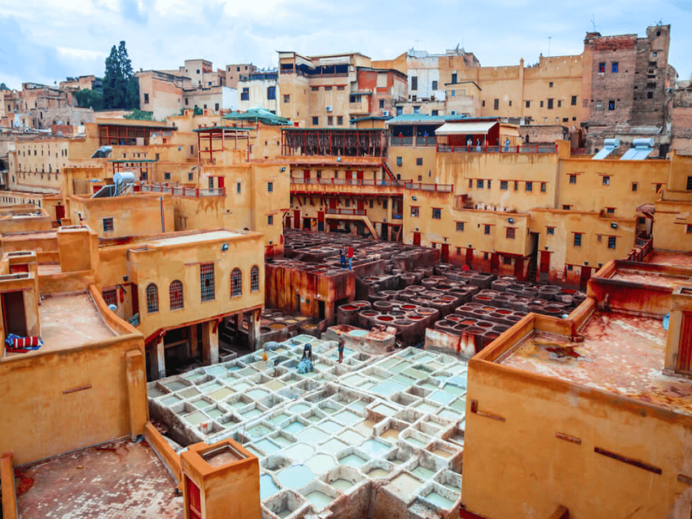 What to Do in Fez for a Day?