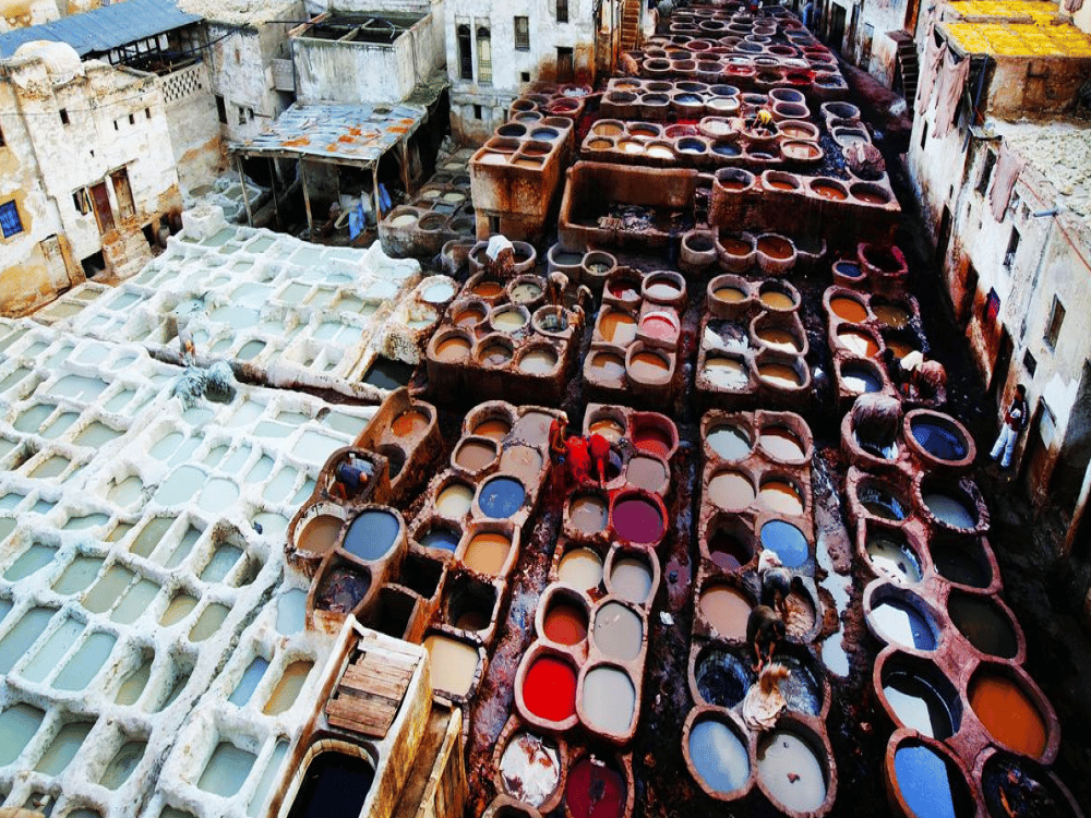 What to Do in Fez for a Day?