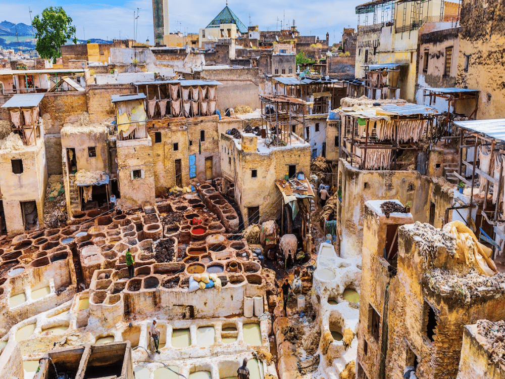 How Many Days Are Needed in Fez?