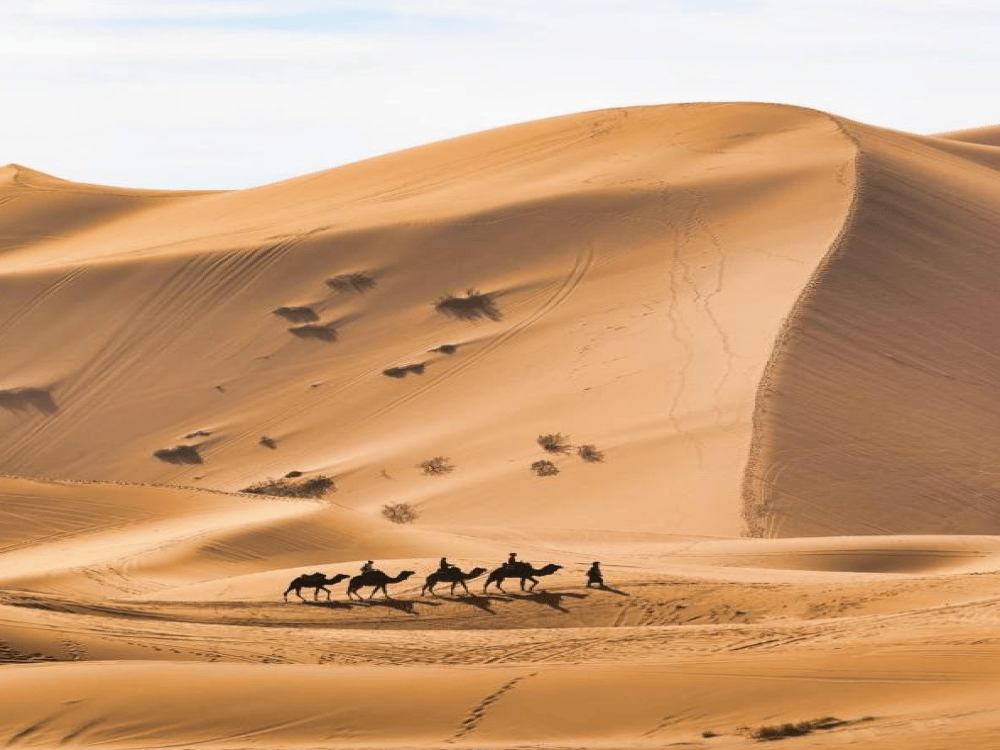 Is It Worth Going to Merzouga?