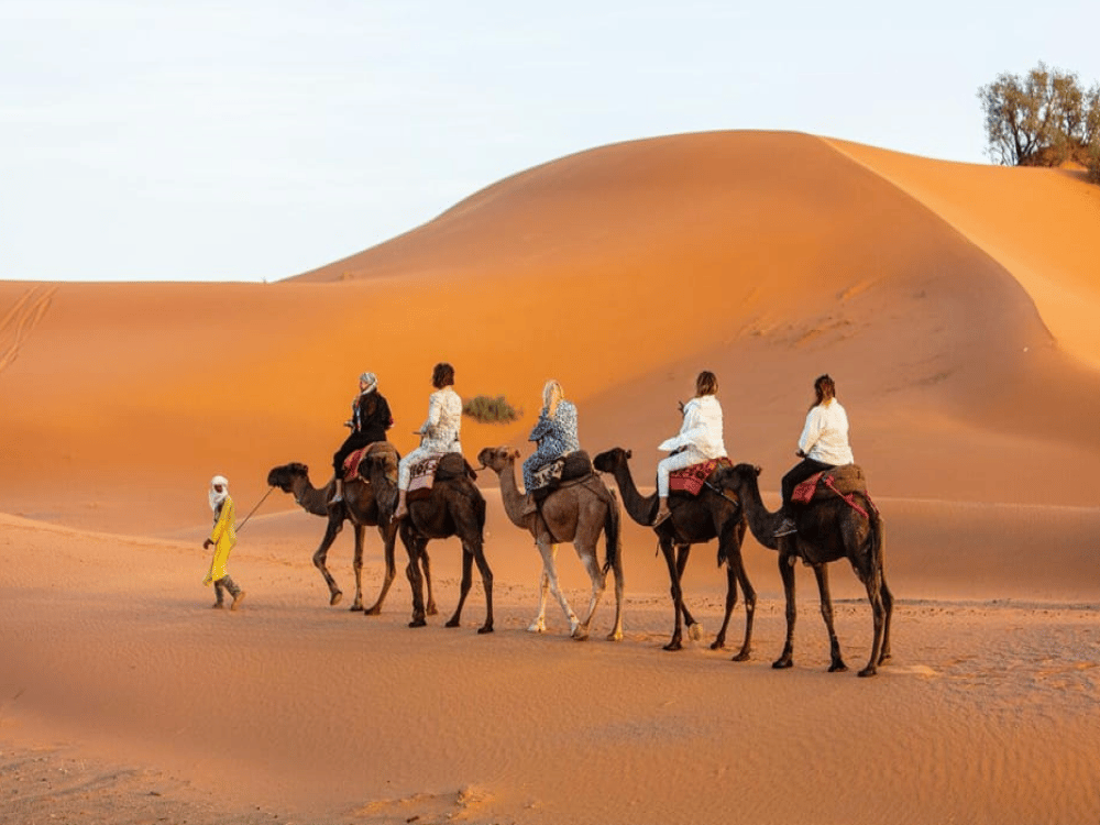 Is It Worth Going to Merzouga?