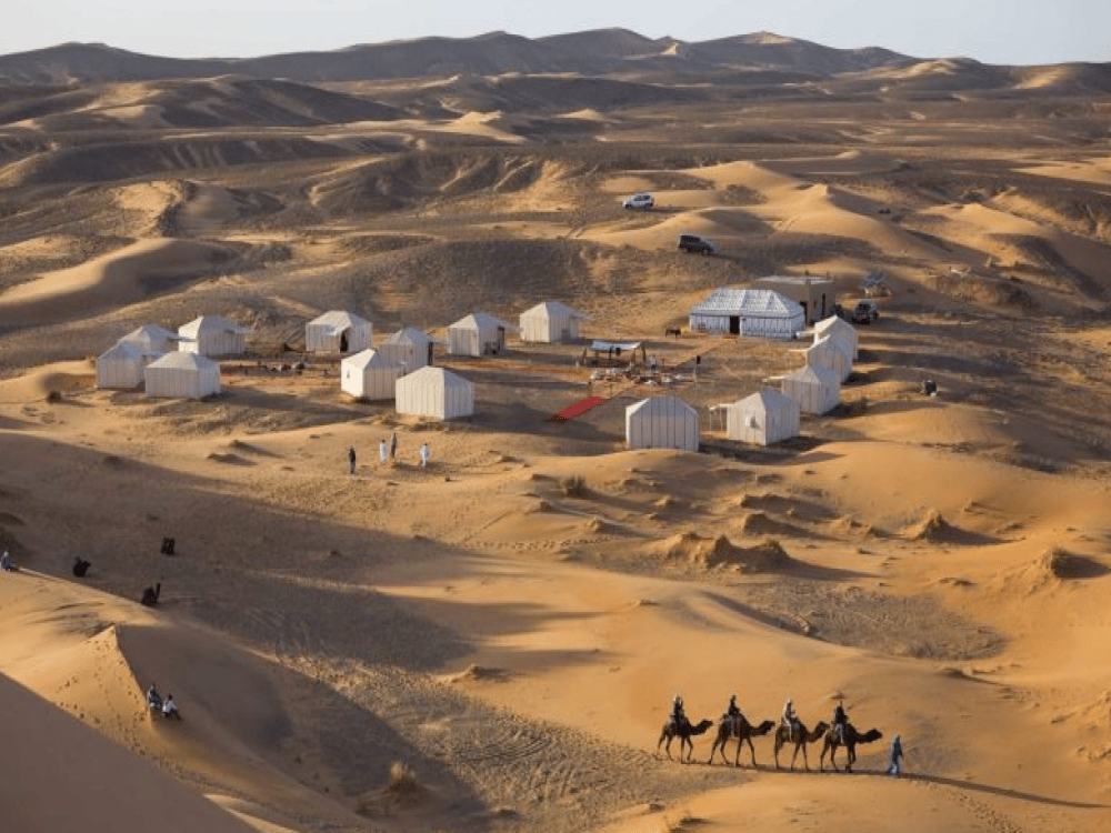 What to Do in Merzouga?