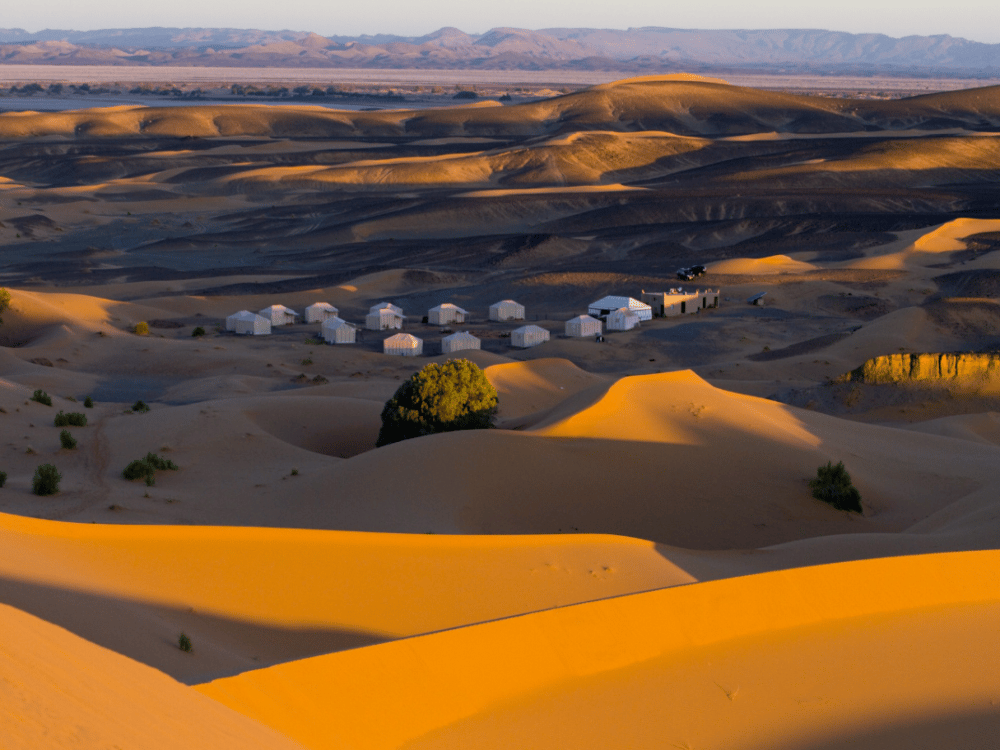 What to Do in Merzouga?
