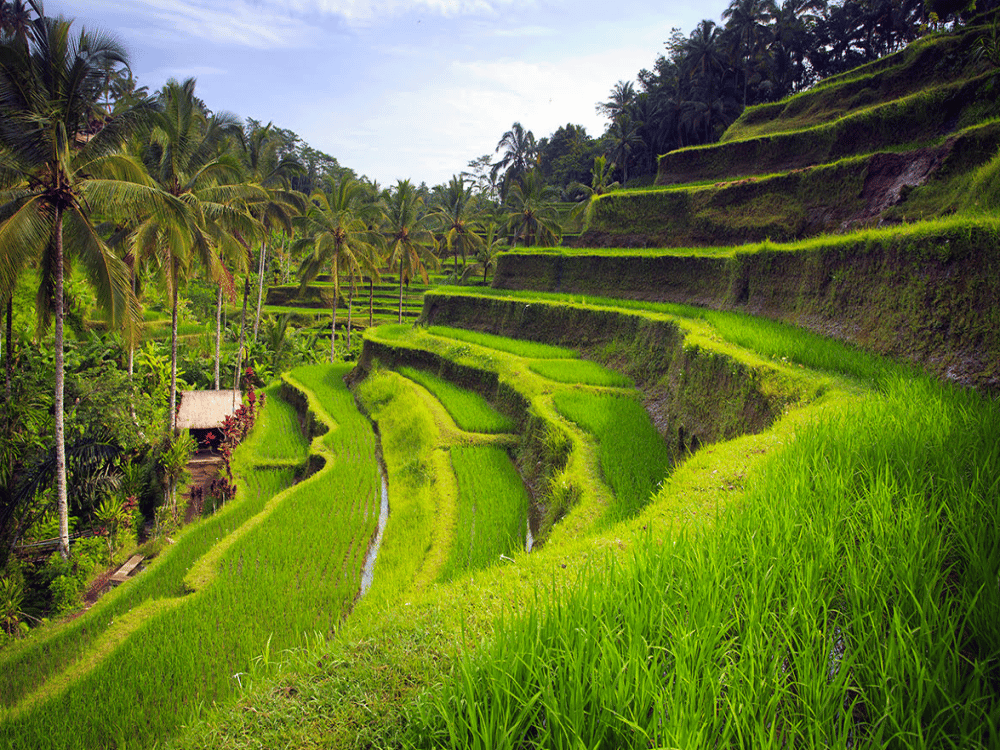 How Many Days in Bali Do I Need?