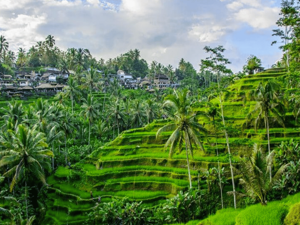 Why Is Ubud So Famous?