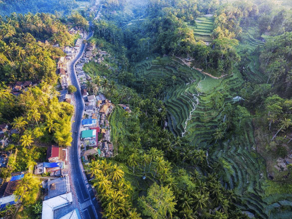 Why Is Ubud So Famous?