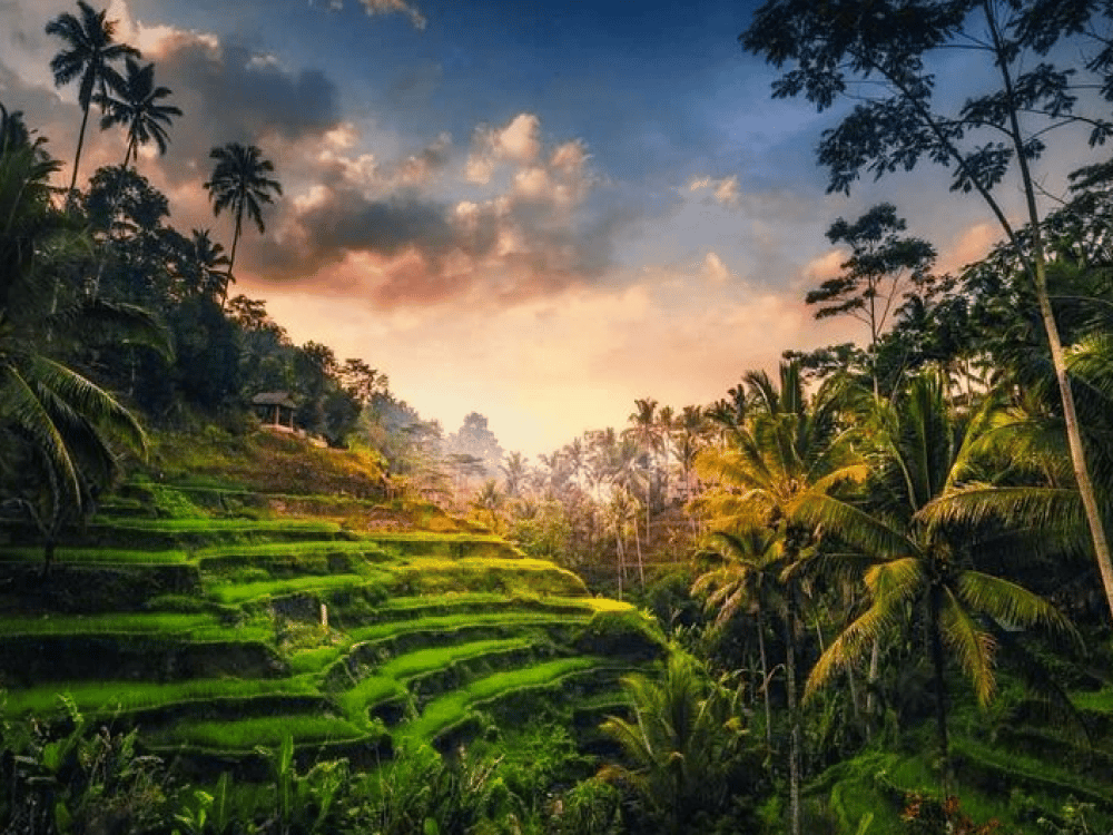 Is 2 Days in Ubud Enough?
