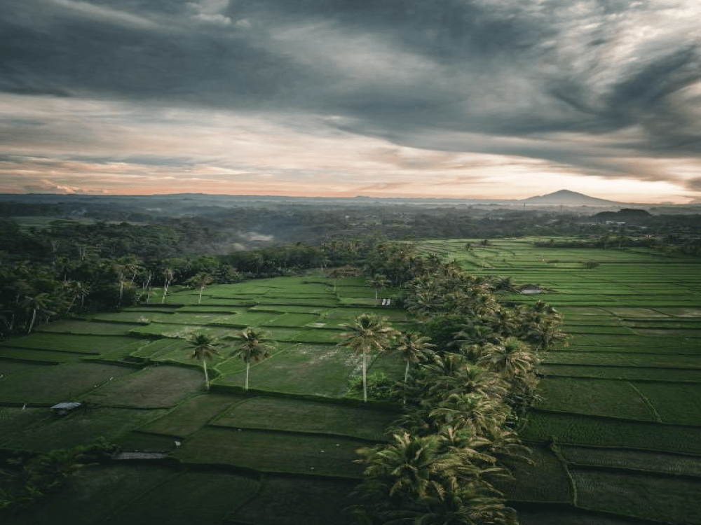 What is the 6 Month Rule in Bali?