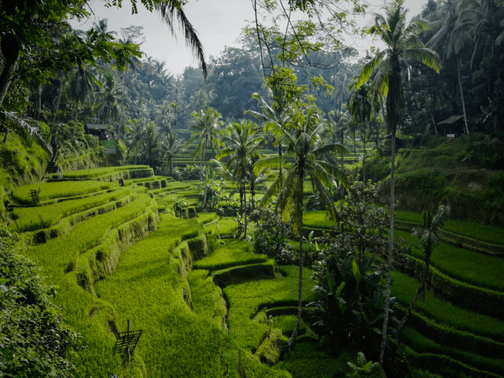 What is the 6 Month Rule in Bali?