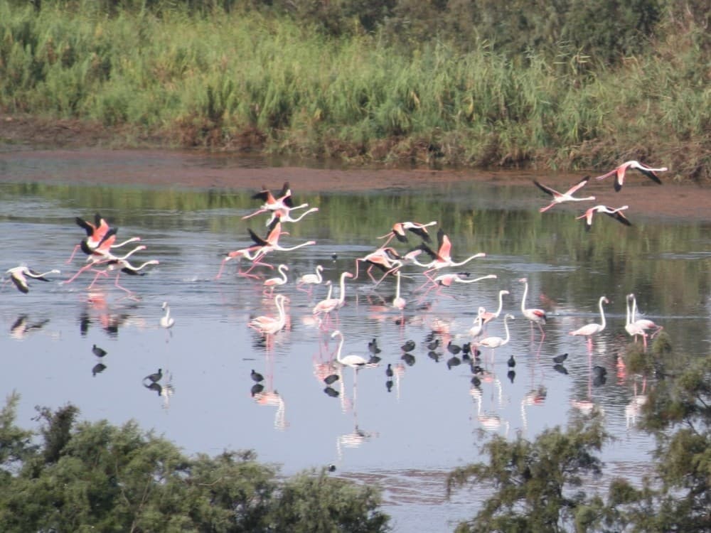 Agadir : Souss-Massa National Park | ®ExcursionMania