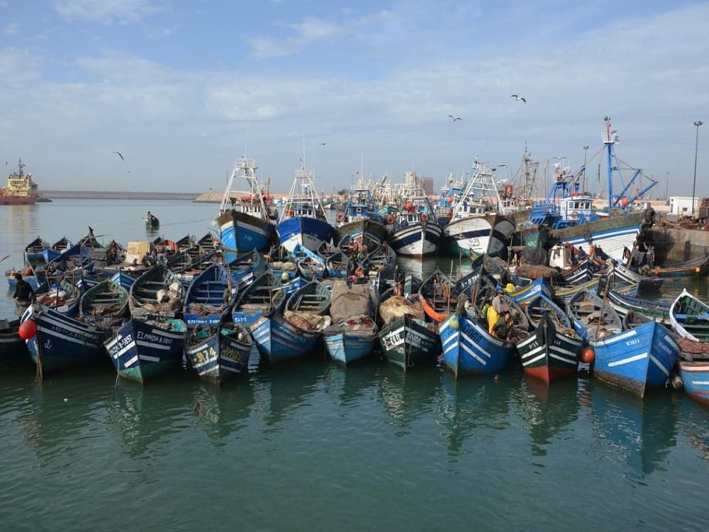 Fishing Port