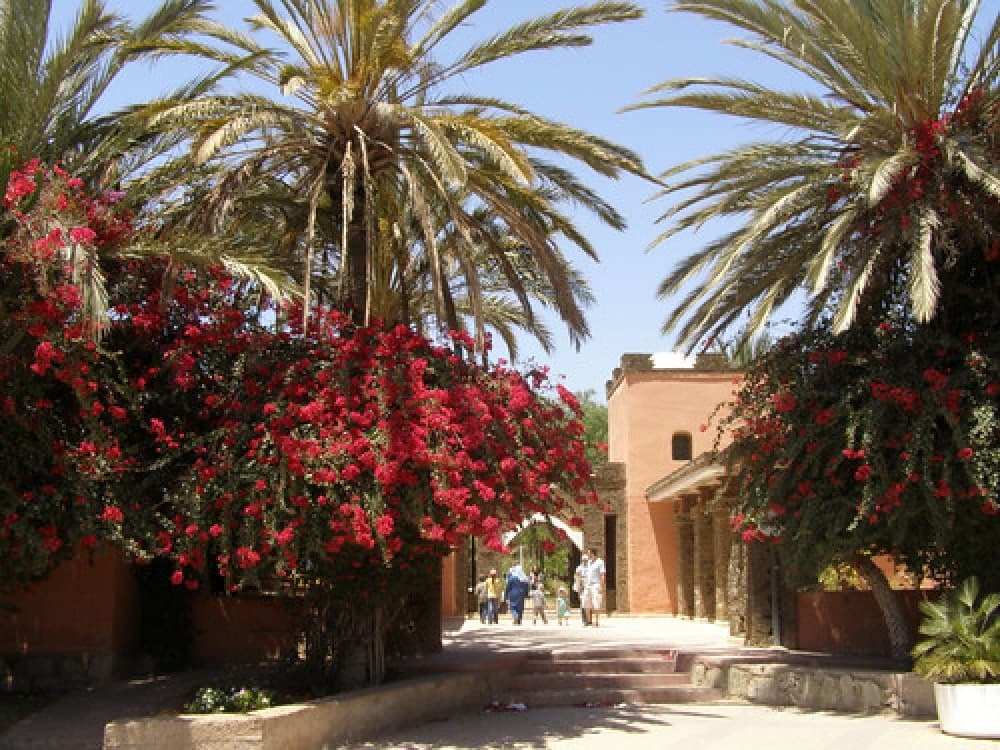 Jardin Olhao Agadir
